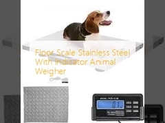 Floor Scale roestvrij staal met indicator dier weegsysteem